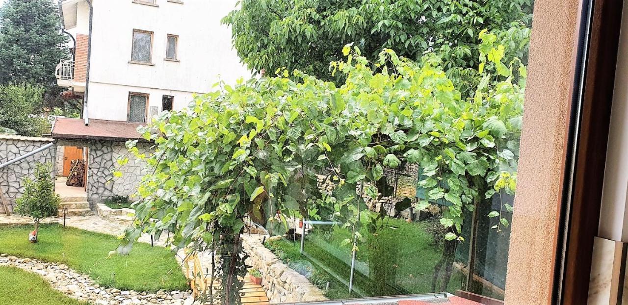 Albisto Dragalevtsi Luxury Appartement *